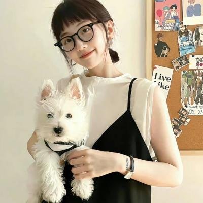 顶级大牌叔比狗 海报